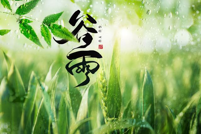 谷雨